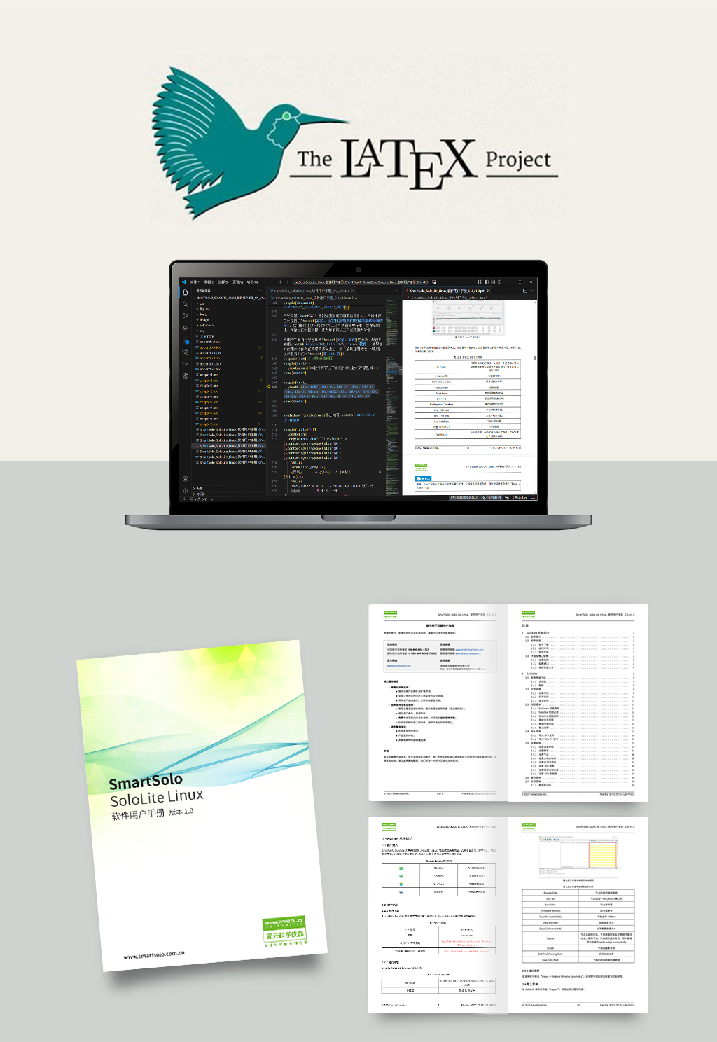 动态交互动效展示